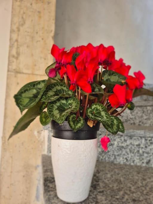 Brenta La Dolce Corte מראה חיצוני תמונה